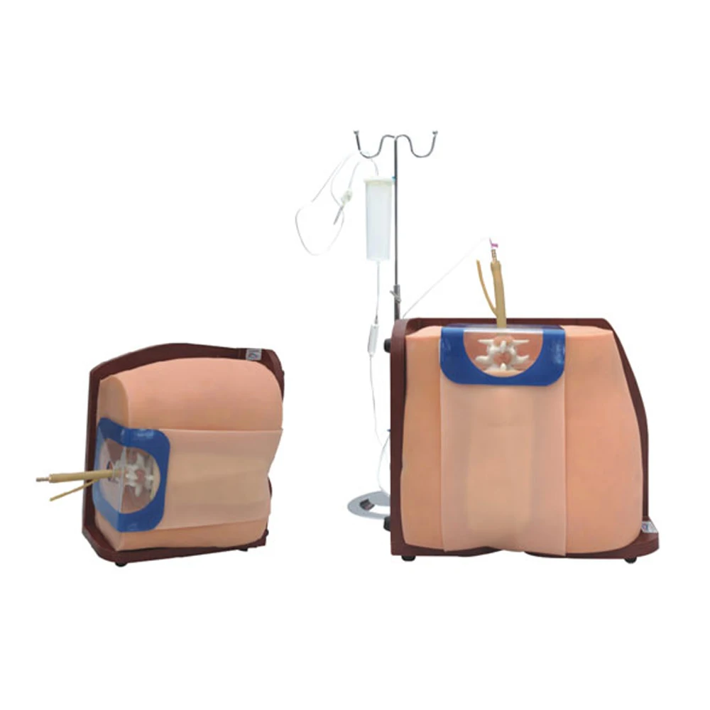 Симулятор прокола позвоночника и эпидуральной анестезии модель клинического