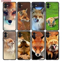 lovely animal fox silicone cover for apple iphone 13 12 mini 11 pro xs max xr x 8 7 plus 6 se phone case