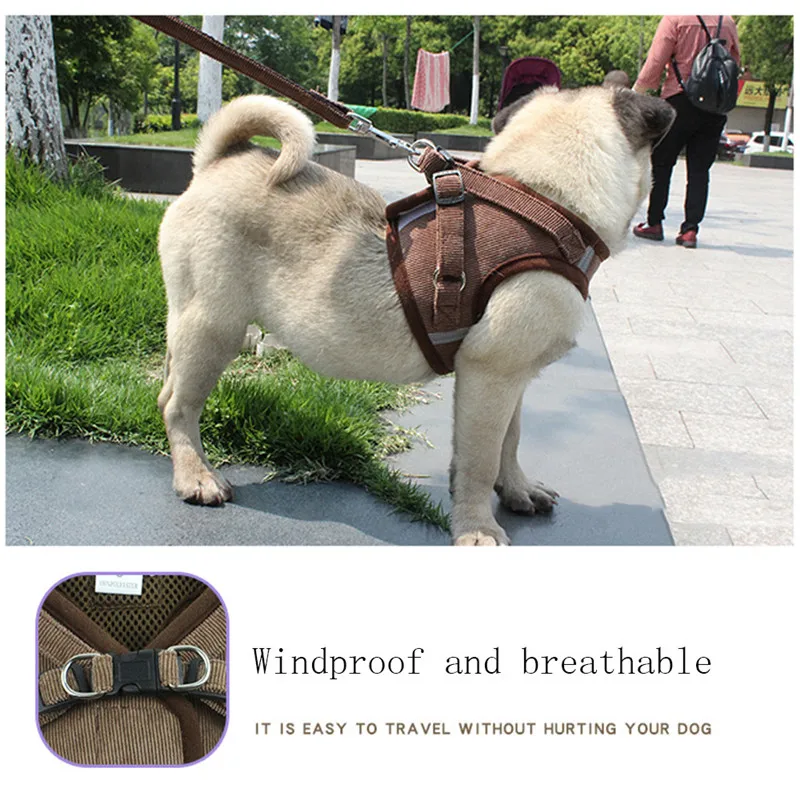 Чистый цвет воздухопроницаемая сетка поводок для маленькой собаки набор