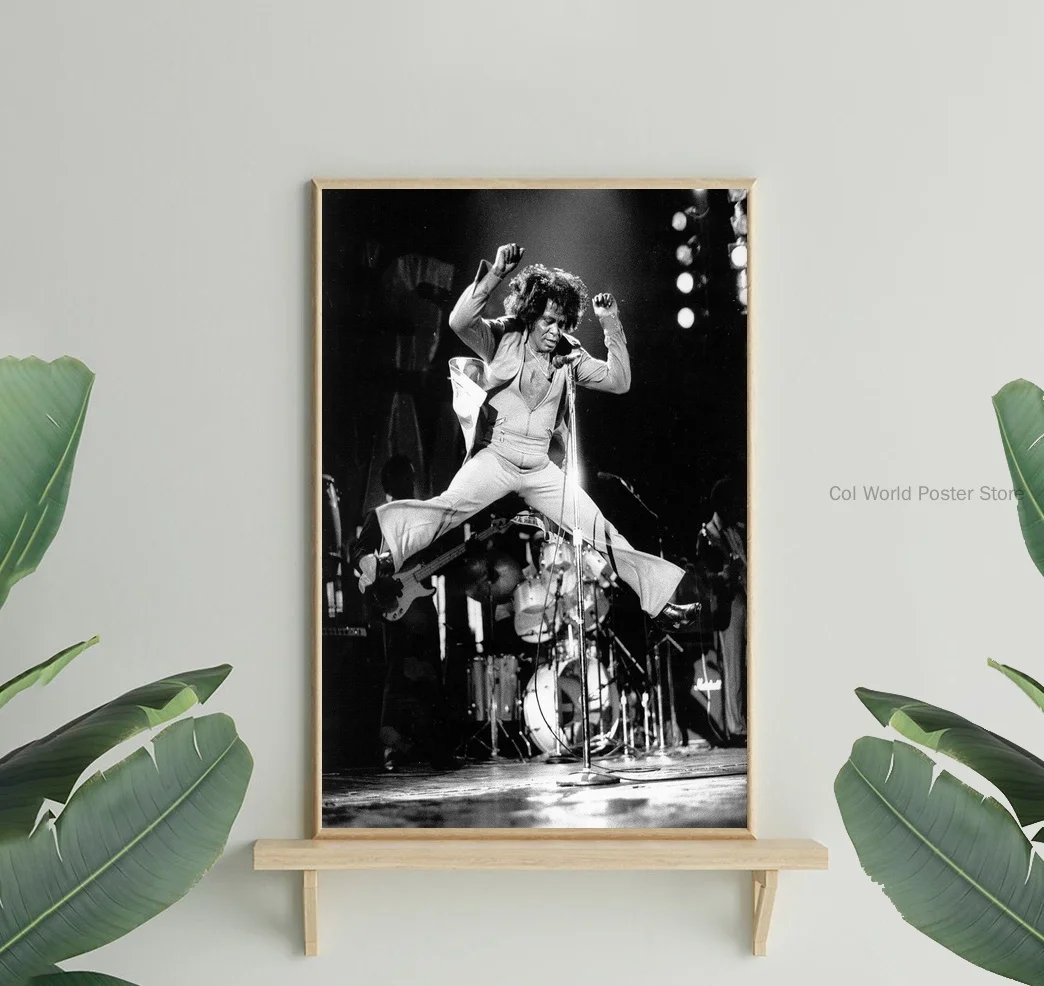 Шелковый плакат с изображением Джеймса коричневого цвета домашний декор 12x18 24x36