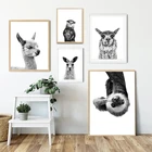 Черно-белый постер на холсте в виде животного, кенгуру, альпака, Выдра, Скандинавская детская картина, украшение для детской комнаты