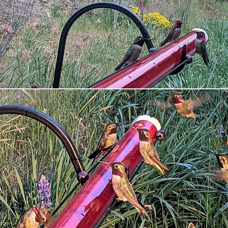 

Bright Red Transparent Tube Hummingbird Feeder Spring Summer Outdoor Garden Decor Easy to Clean Hummingbird Feeders