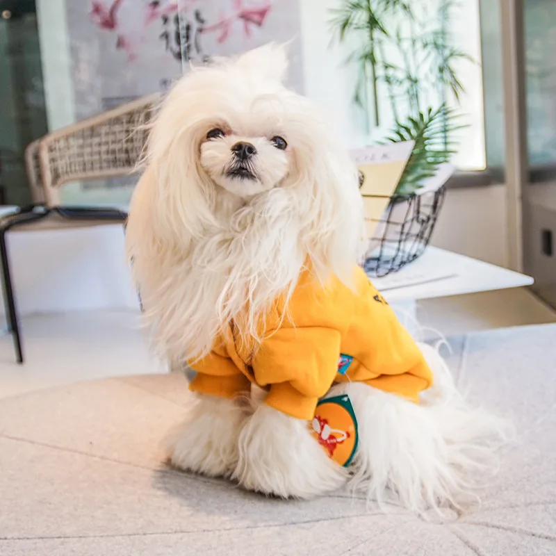 Весна и осень Новый стиль Одежда для собак Щенок щенок Лента кошки с надписью