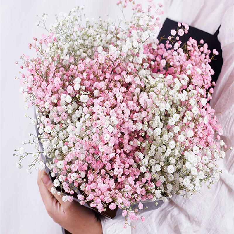 Home Supplies Natural Flowers Gypsophile Dried Flowers Bouquets Flower Bouquet Wedding Gypsophila Artificial Decorations Festive