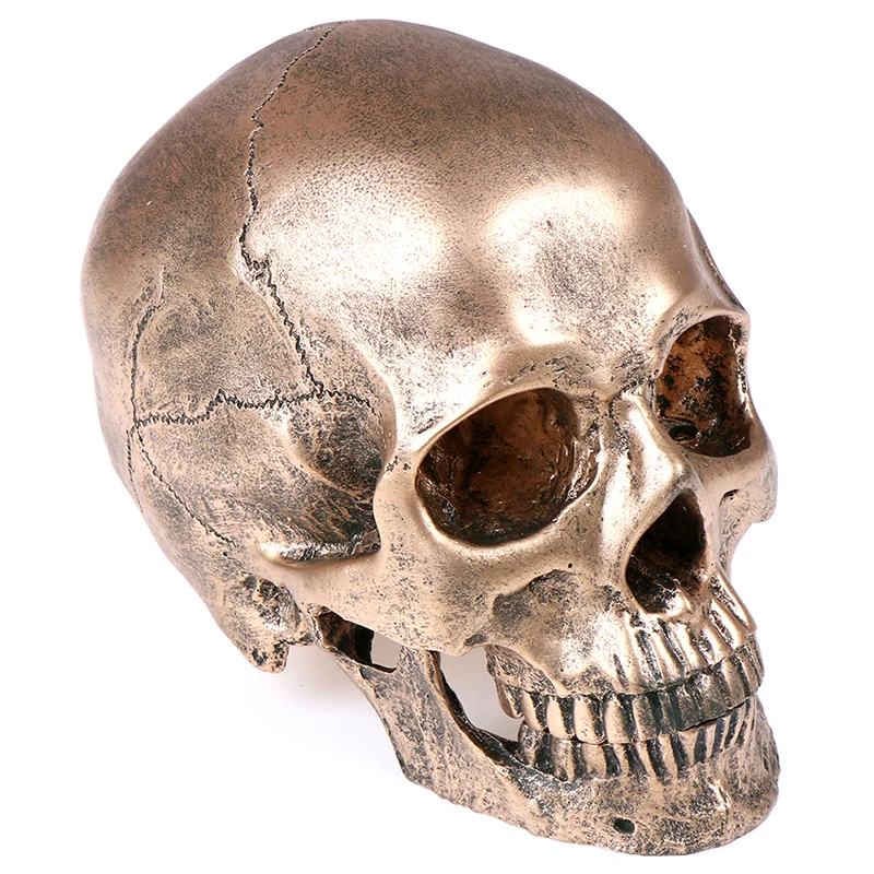 Bronze Resin Skull Model Painting Medical Sculpture Statue Crafts Halloween Home Decoration | Дом и сад