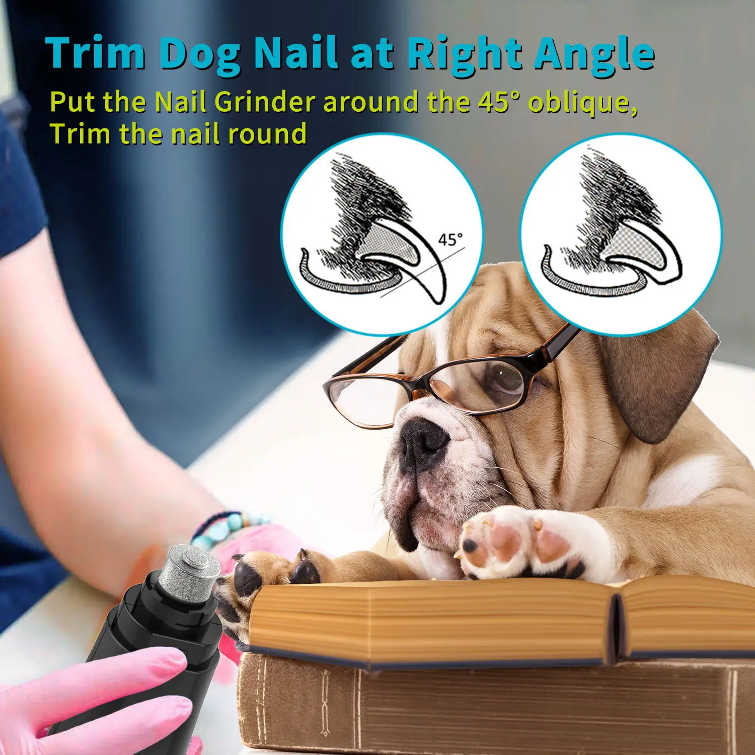 

Dual Speed Dog Cat Nail Grinder Dog Nail Polisher Cat Dog Nail Scissors USB Rechargeable Pet Grooming Dog Supply Cat Supply