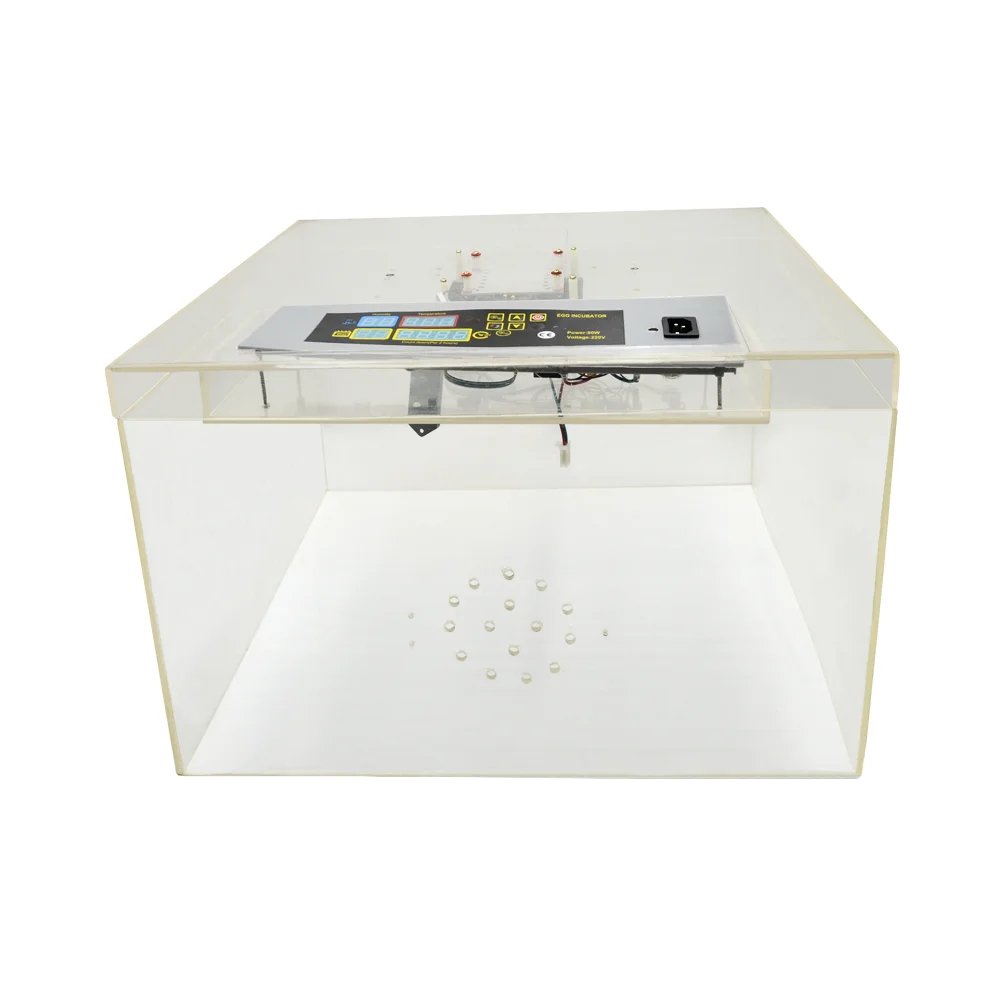 Продажа набора мини яиц новые принадлежности для инкубаторов Запчасти