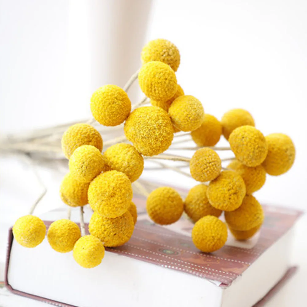 5 шт. сушеные цветы круглые шары свадебный букет ВЕТОЧКА украшение для дома