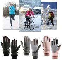 outdoor sports snowboard waterproof winter ridding gloves ski gloves touch screen warm