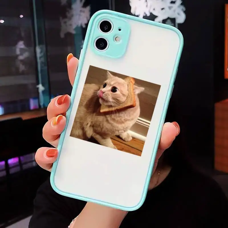 

Cute cat funny love pet Phone Cases Matte Transparent for iPhone 7 8 11 12 s mini pro X XS XR MAX Plus cover funda