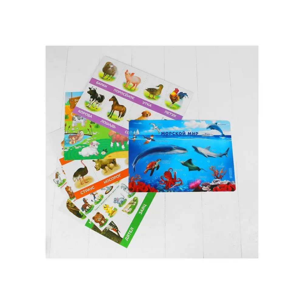 Educational set &quotWe study animals&quot 10 lessons equipment education for school Supplies Office | Канцтовары для офиса и