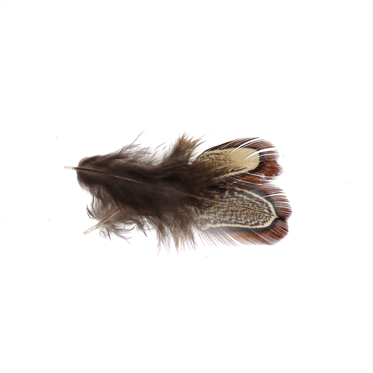 Bimoo 100 шт./упак. муха завязывание Partridge перо Caddis летающие крылья мягкие Hackle мокрые мушки соленой воды тройные Крючки материалы для связывания