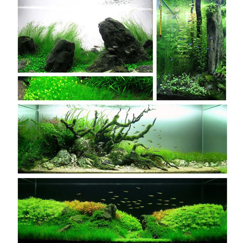 Водная трава Семена растений аквариум для рыб маленький большой лист аквариума