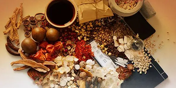 

Guang Huo Xiang, Cablin Potchouli Herb, Herba Pogostemonis, Wrinkled Gianthyssop Herb