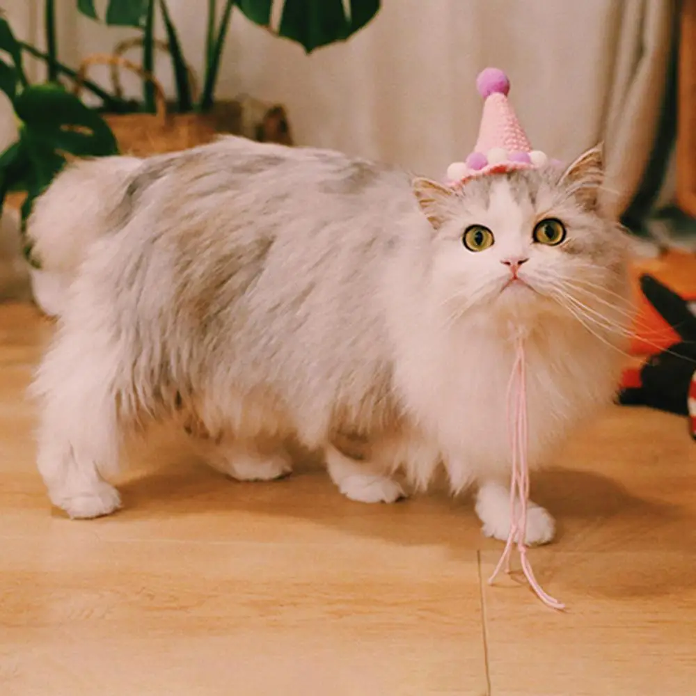 Ручная тканая шляпа для животных на день рождения роскошный баскетбольный мяч