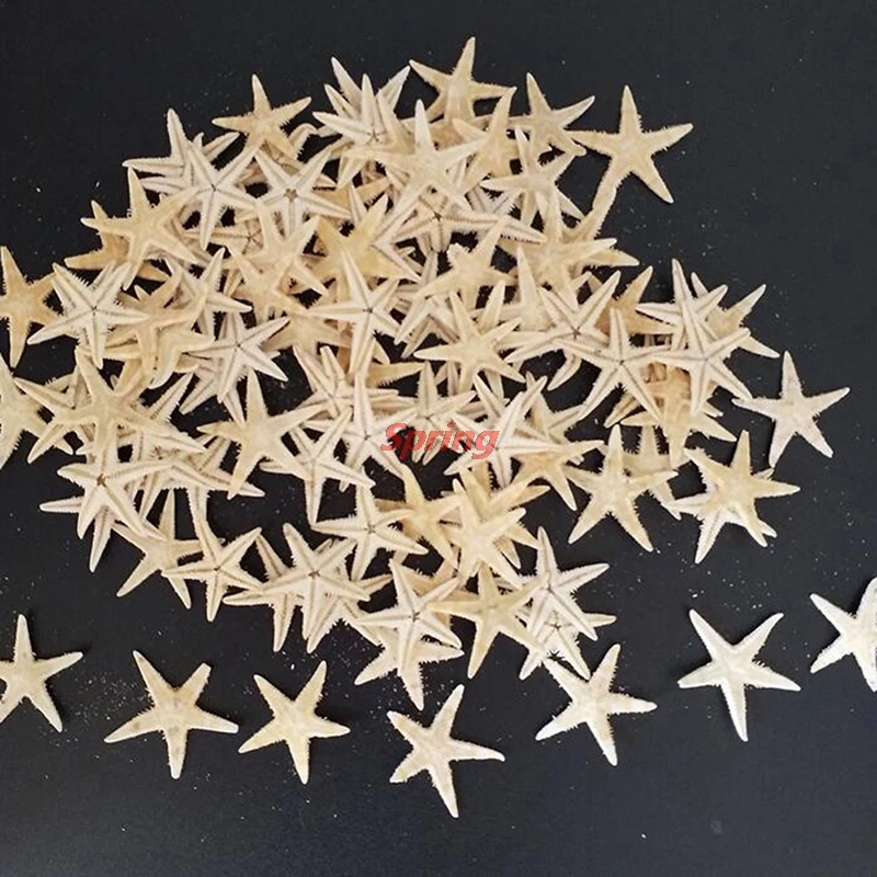 Mini Starfish Craft Decoration Natural Sea Stars DIY Beach Cottage Wedding Decor Crafts Wedding Hot