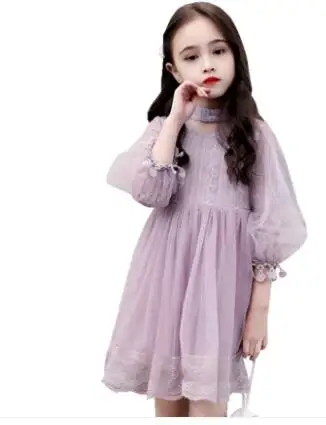 Весеннее платье для девочек 2019 модное кружевное принцессы маленьких с длинными