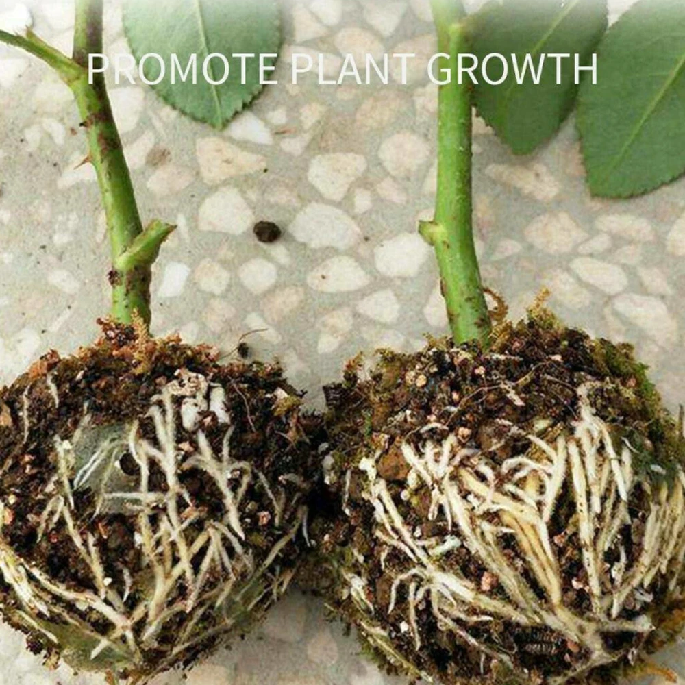 5 шт. завод укоренения мяч & 20 штук Кабельные стяжки распространения Коробка
