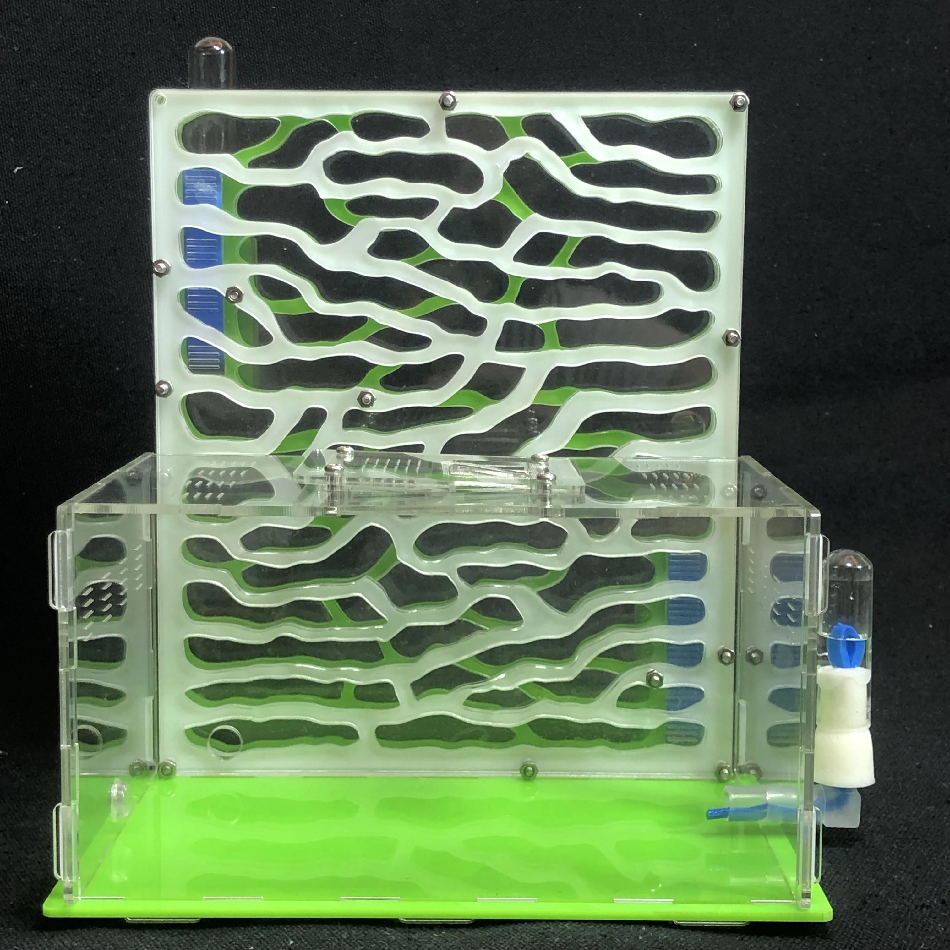 diy acrylic ant farm big ants house with feeding area workshop large ant nest 6 layers villa insect pet anthill 19 51522cm free global shipping