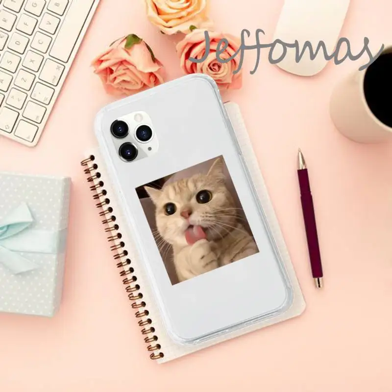 

Cute cat funny Phone Case Transparent for iPhone 11 12 mini pro XS MAX 8 7 6 6S Plus X 5S SE 2020 XR