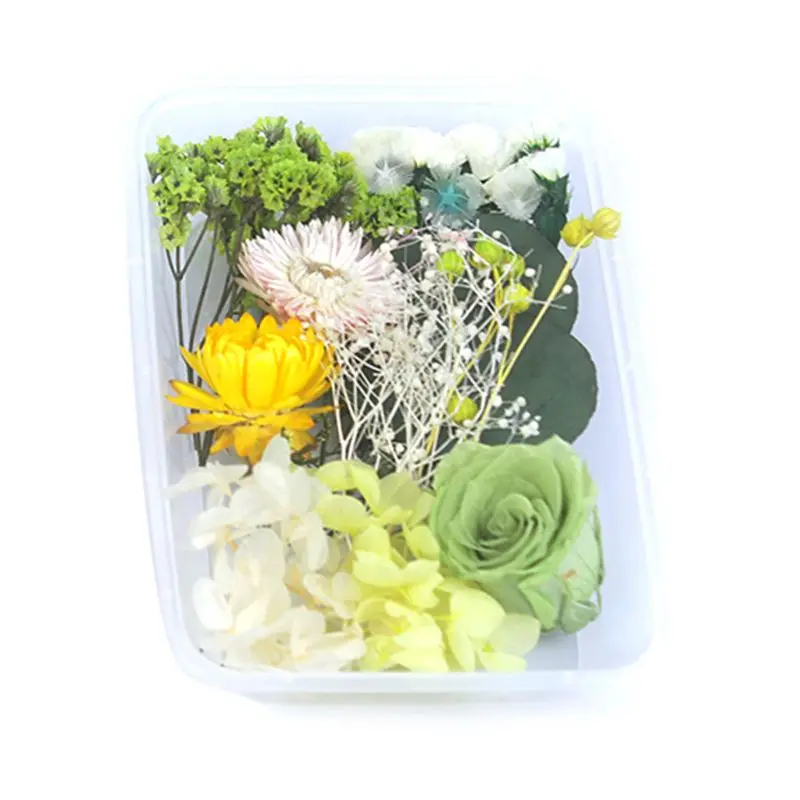 

1 Box Real Mix Dried Flowers for Resin Jewellery Dry Plants Pressed Flowers Making Craft DIY Accessories Home Use