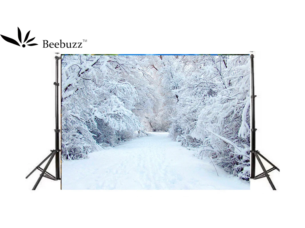

Beebuzz photo backdrop white snow background in winter