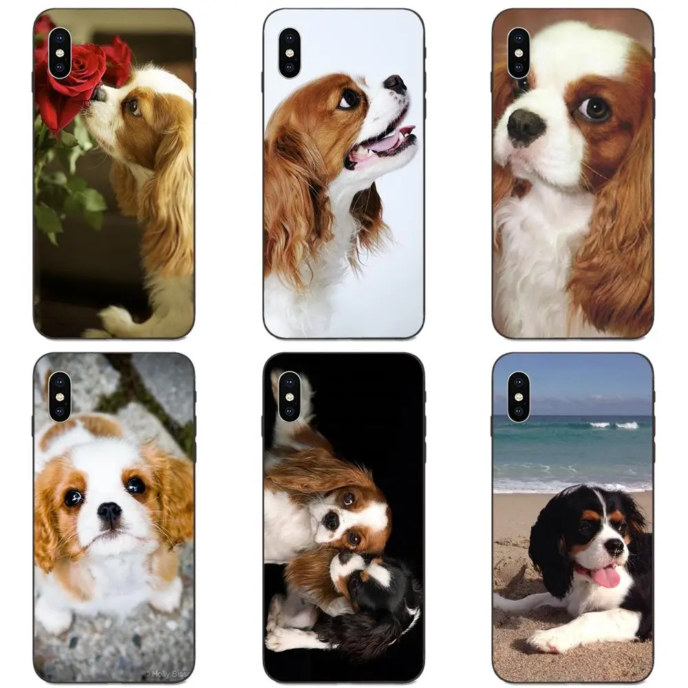 Милый кавалер король Шарль спаниель собака в продаже чехол для телефона Apple iPhone 11