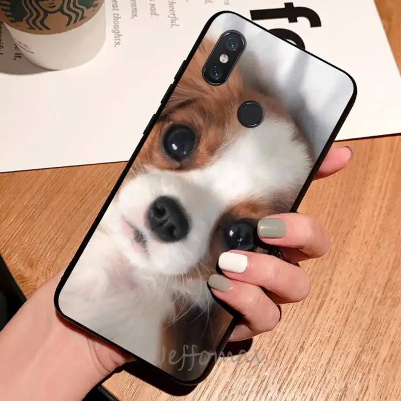 

Cavalier King Charles Spaniel Dog luxury design shell Phone Case For Xiaomi Redmi note 7 8 9 t max3 s 10 pro lite