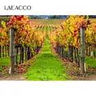 Laeacco зеленая трава сельская ферма усадебная желтая местная живописная фотосессия фон для фотосъемки фон для фотостудии