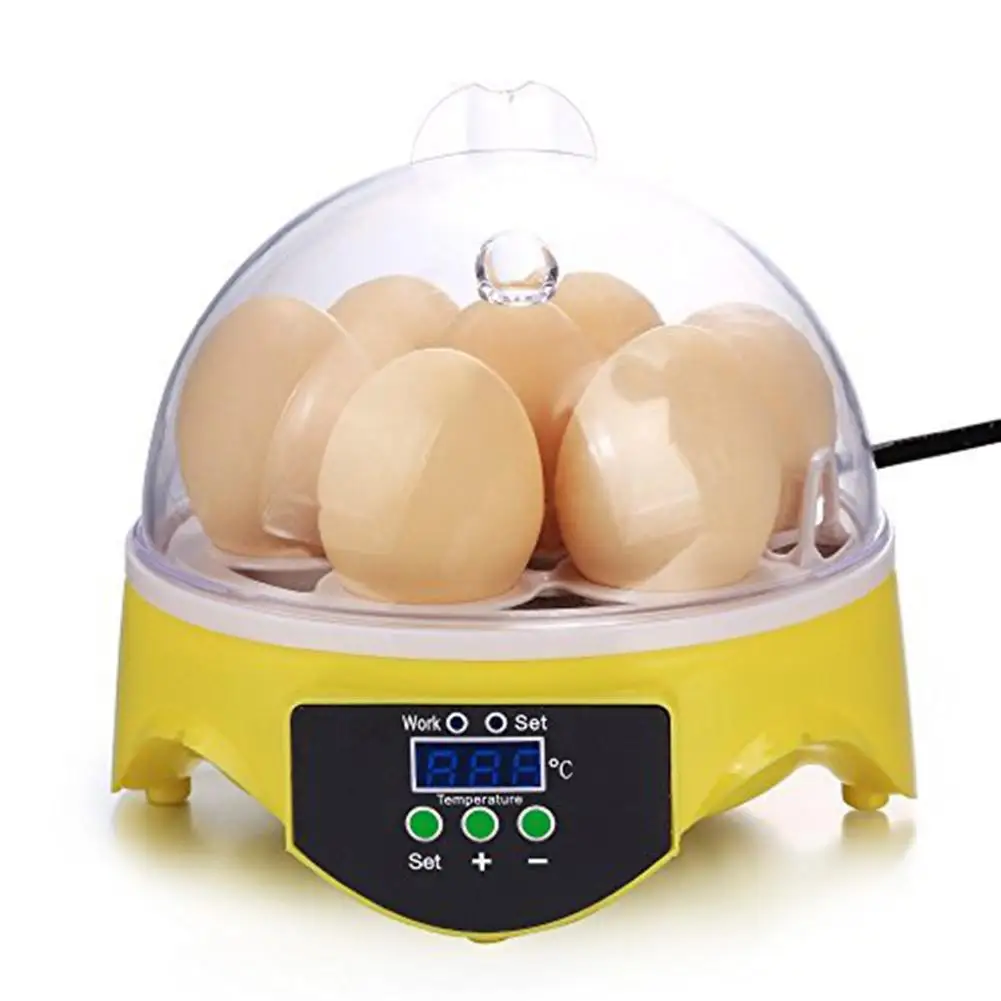 

Mini 7 Egg Incubator Poultry Incubator Brooder Digital Temperature Control Egg Incubator Hatcher for Chicken Bird Egg