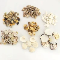 50gpack natural shell conch resin filler epoxy resin mold filling tools diy jewelry making mold accessories decoration crafts