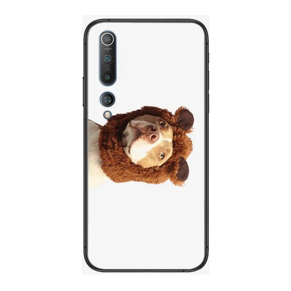 

Personality dress pet dog Fashionable and cute Phone Case For xiaomi mi11 5g 10 liti Ultra 9Pro SE 3 8 Note Anime Black Cover Si