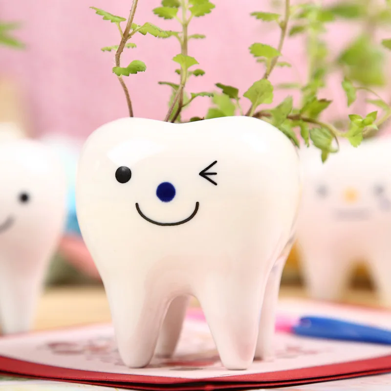 

Cartoon Tooth Grass Head Doll Creative Mini Desktop Potted Plant Holiday Gift Graduation Gift