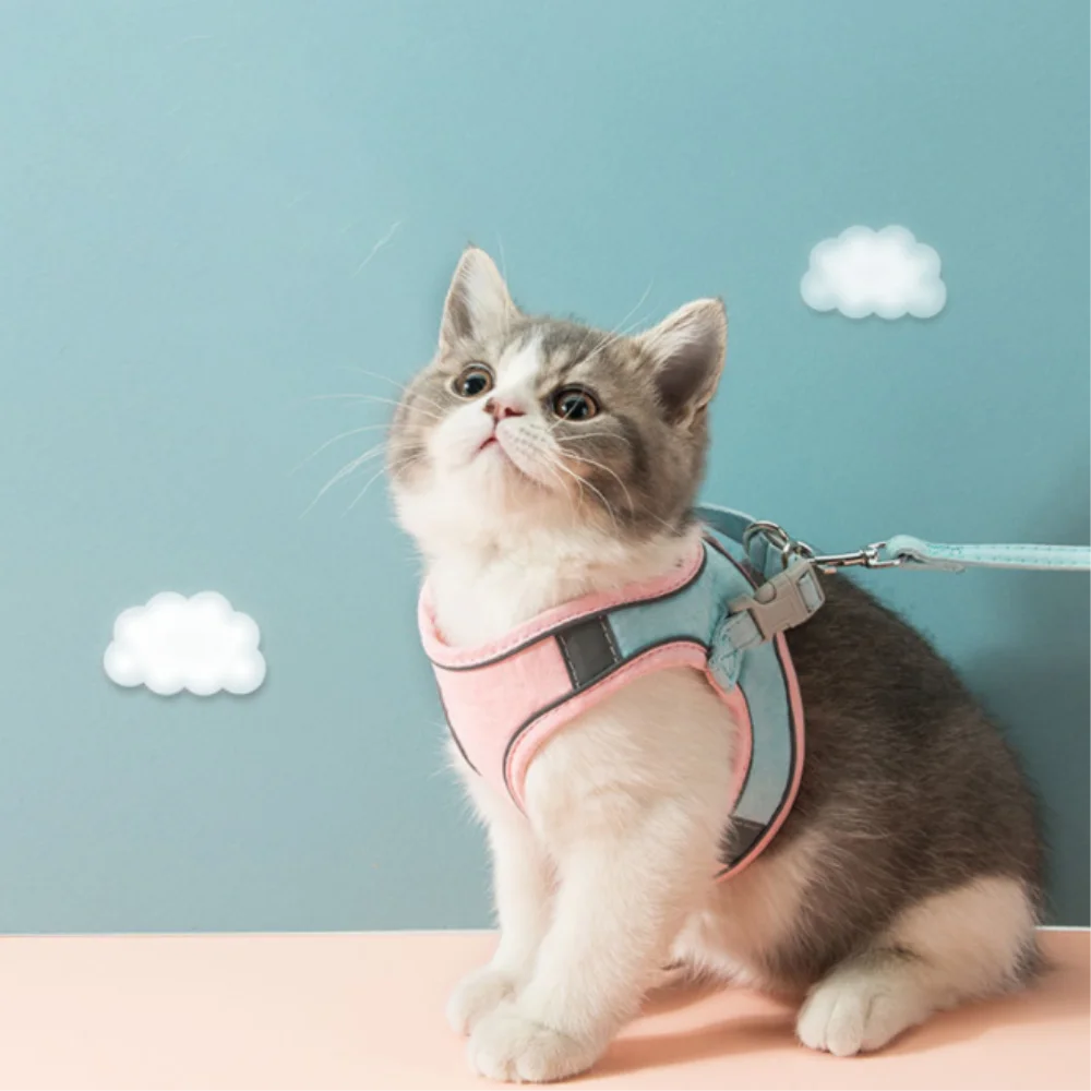 

Cat Harness and Leash Set for Walking Escape Proof Adjustable Kittens Vest With Reflective Strip for Cats Small Dogs Puppies