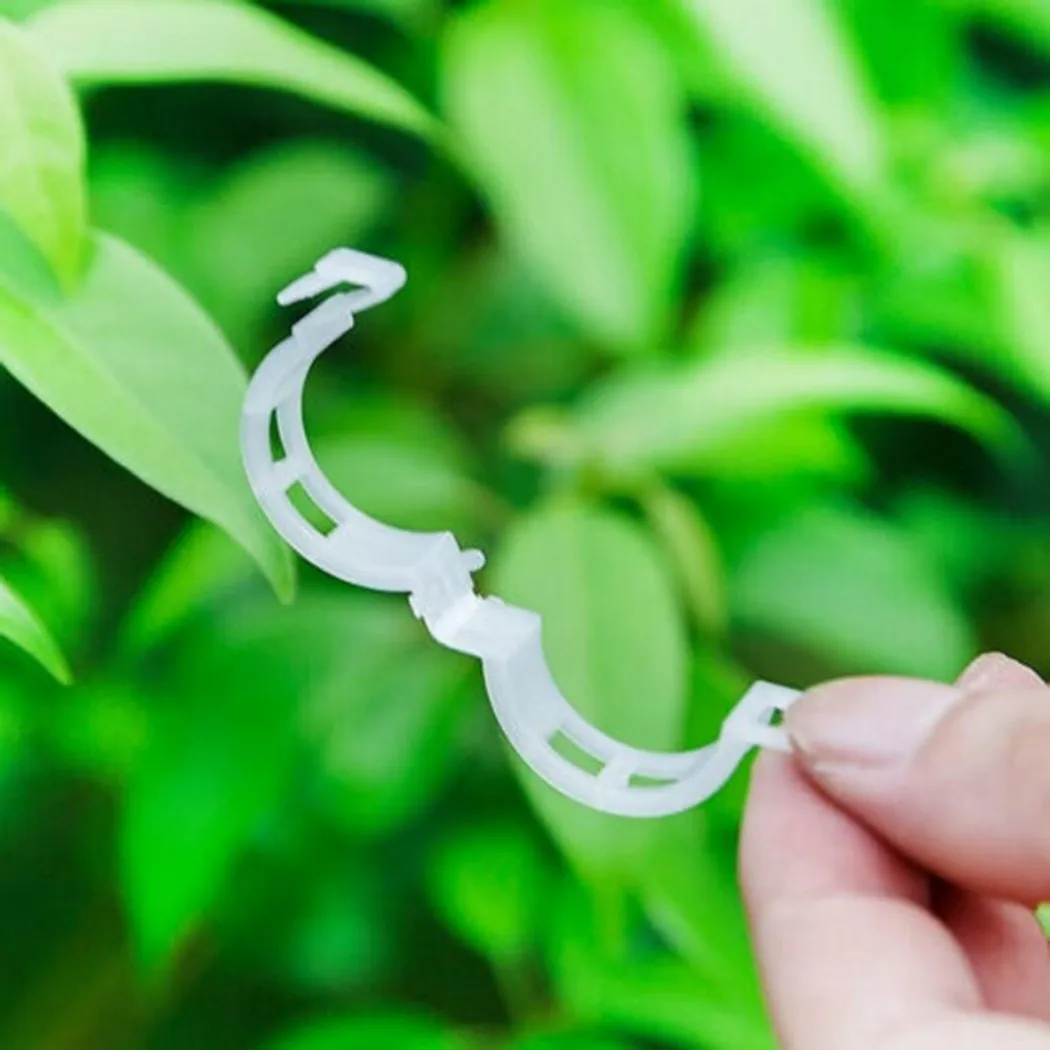 

100Pcs Tomato Veggie Greenhouse Garden Plant Vine Fixed Support Clips For Grafting Eggplant, Watermelon, Fruits And Vegetables