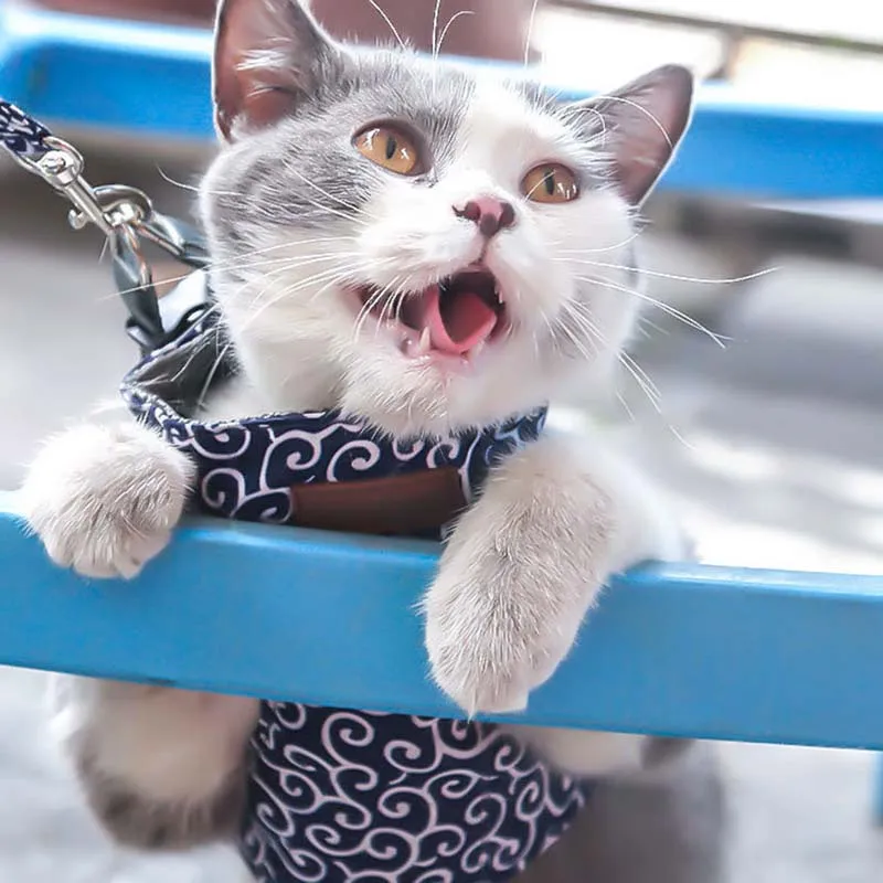 ошейник для собак шлейка товары Жилет домашних животных нагрудный комплект