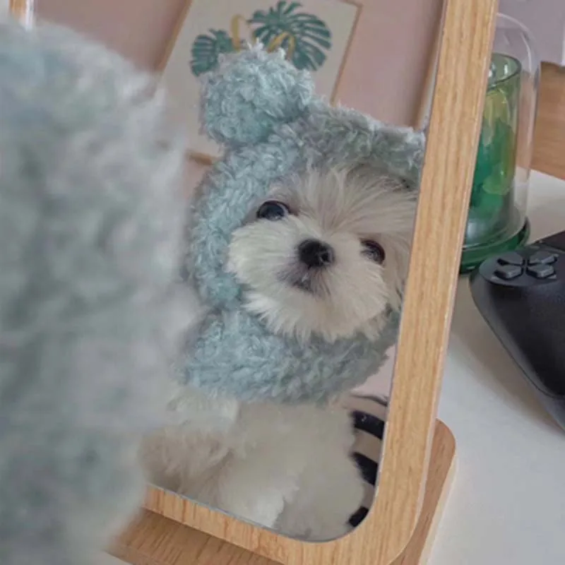 

Зимняя одежда для собак и кошек, аксессуары для маленьких собак