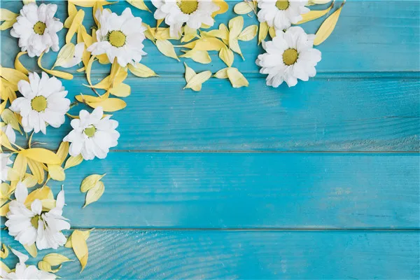 

Vinyl Custom Photography Backdrops Props Flower and Wood Planks theme Photo Studio Background 20212-23