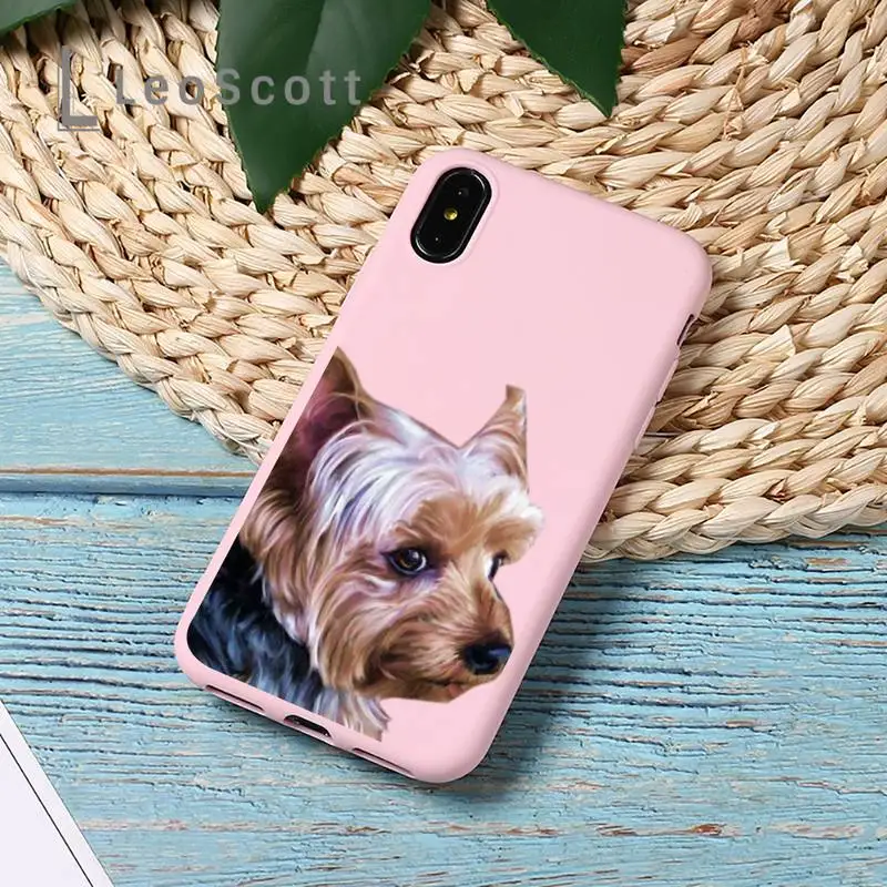

Yorkshire terrier dog Newest Fashion Phone Case Candy Color for iPhone 11 12 mini pro XS MAX 8 7 6 6S Plus X 5S SE 2020 XR