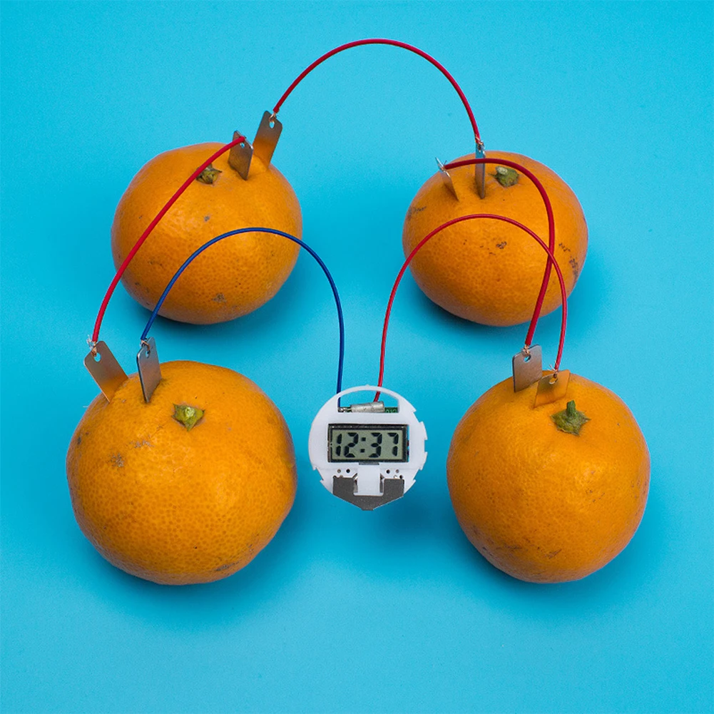 Фруктовая биология электроэнергия научный эксперимент обучающие игрушки для