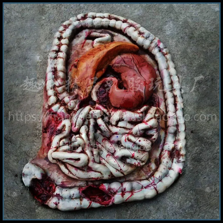 Кровавая еда человеческий большой кишечник реквизит часть тела орган для
