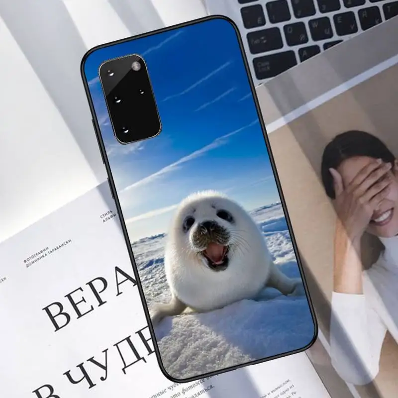 

white seal snow Phone Case For Samsung A40 A31 A50 A51 A71 A20E A20S S8 S9 S10 S20 Plus note 20 ultra