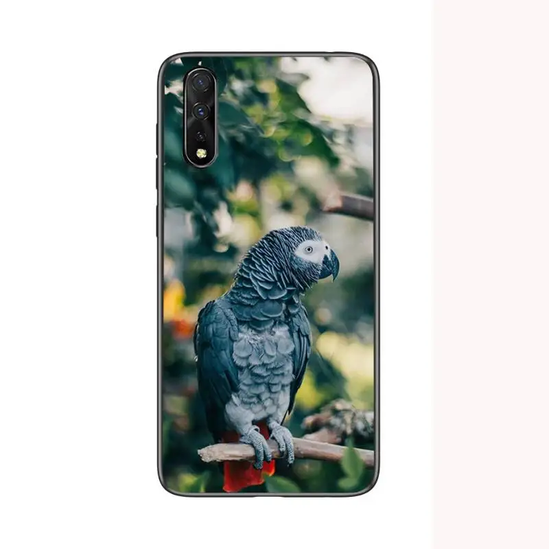 

Beautiful Parrot Bird Flying Silicone Phone Case For Redmi 4X 5plus 6 7 8A 9 Note 4 8 T 9 10 pro Cover Fundas Coque