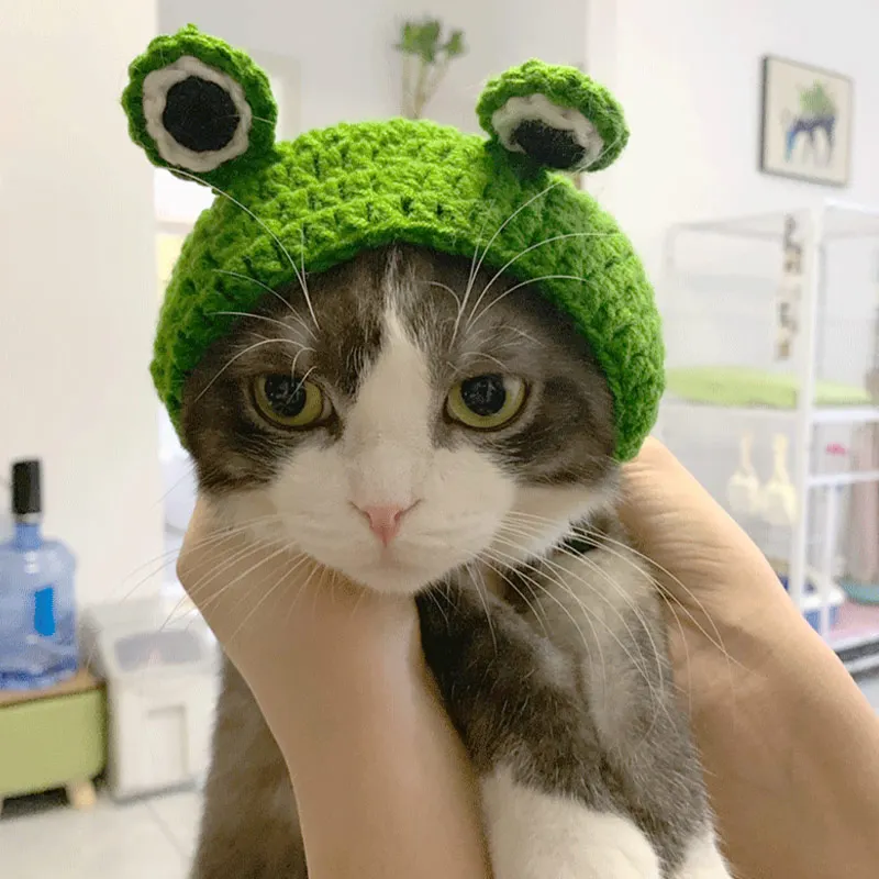 

Cute Pet Cat Hat Frog Shape Cat Dog Cap Cheap Pet Caps For Dogs Cats Hats Pets Funny Costume Cosplay Pet Headband Accessories