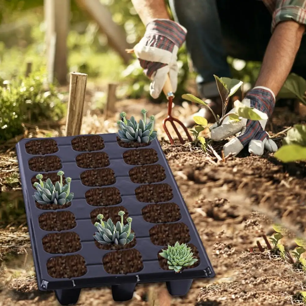 

5/10PCS Seeds Tray 21-Cell Seedling Starter Kit Plant Germination Plant Sowing Box Vegetables Gardening Tool Garden Accessories