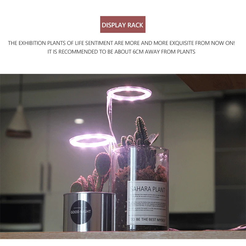 

Grow Light Succulent Lamp Fill Light Home Indoor Green Plant Coloring Imitating Sun Angel Ring Plant Growth Lamp DC5V Lamp Phyto