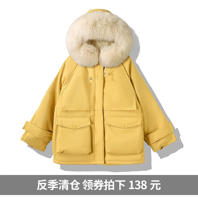 off-Season Clearance New Parka down Jacket Women's Winter Clothes Thickened Warm Short Hooded White Duck down Coat Tide