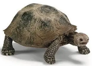 giant turtle Оригинальные оригинальные джунгли дикая жизнь зоопарк ферма животные наборы собака волк осел бык овца Бегемот фигурка детская игрушка для детей подарок - Цвет: giant turtle