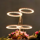 Светодиодный светильник с тремя кольцами Angel для выращивания растений, лампа полного спектра с USB для комнатных цветов, суккулентов, семян, домашние принадлежности, 5 В