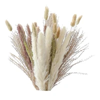 natural pampas grass decor 40 pieces 45cm natural dried white bunny tail wheat dust pampas grass plant boho decor
